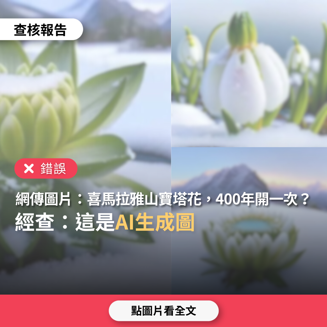 【錯誤】網傳圖片「喜馬拉雅山上的寶塔花，每400年盛開一次」？